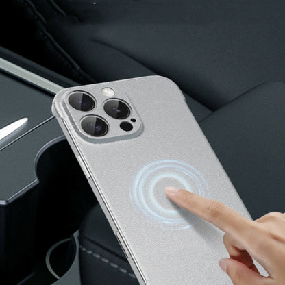 For iPhone 11 Pro Frameless Litchi Texture PC Phone Case(Titanium Silver) by bashfashion