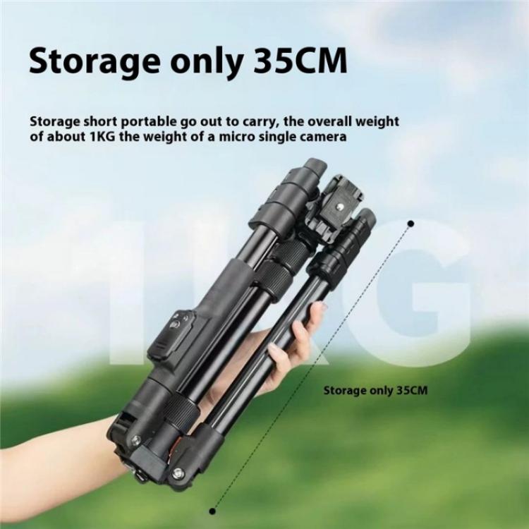 SYA0028721_2.jpg@3b64333650f1e18ba138128d65b47003