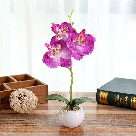 Decorative Landscaping Round Pot Three Flowers Phalaenopsis Bonsai Simulation Potted Plants(Purple) by bashfashion