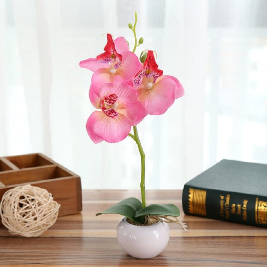 Decorative Landscaping Round Pot Three Flowers Phalaenopsis Bonsai Simulation Potted Plants(Pink) by bashfashion