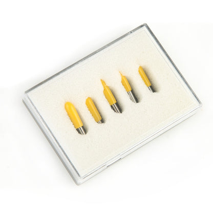 TBD06039709_B5.jpg@77a3403b1e8ee31e9e5766693f16ef62