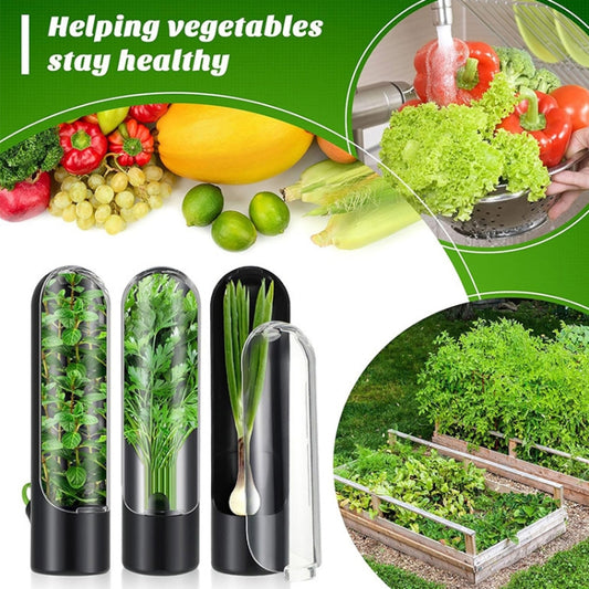 Herb Crisper Vegetable Keep Fresh Container Cilantro Herb Storage Container(Black) by bashfashion