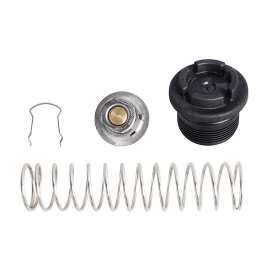 Pool Spa Heating Regulator Replacement Kit For Pentair MasterTemp Sta(Silver) by bashfashion