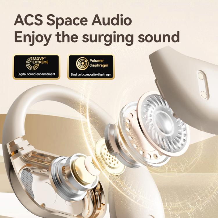 TBD06056512_B6.jpg@47febac09c68e63bb22b8e796b1eb3f3