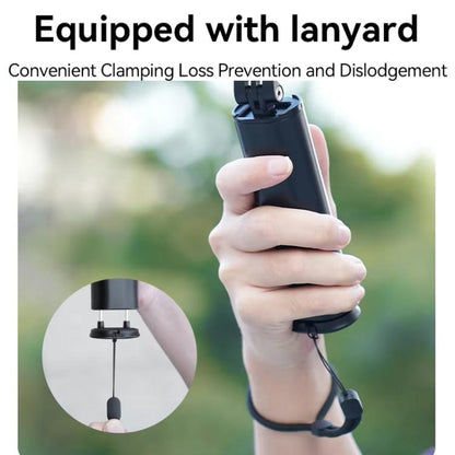 TBD06057297_B10.jpg@3d05777ec58fcf0c93759b7326ef1365