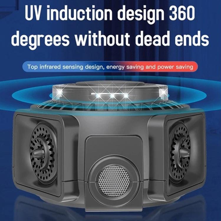 TBD06062353_B2.jpg@309f6c9c051e58b4e9f2d2dd8d31dc7c