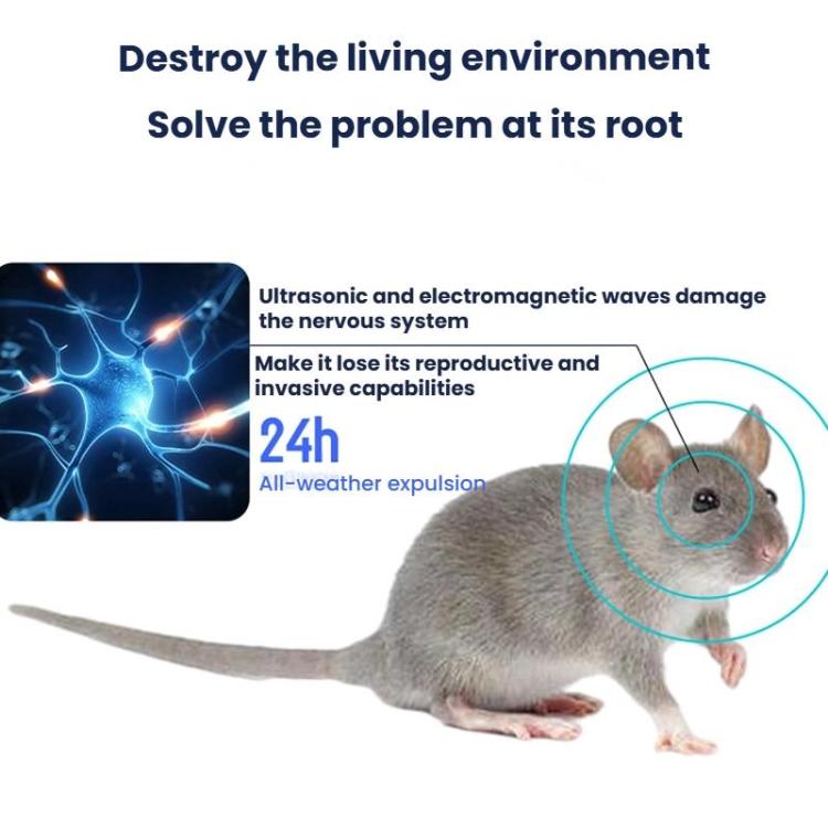 TBD06062364_B2.jpg@15d5c42b1899fd898231811656ddf7fd