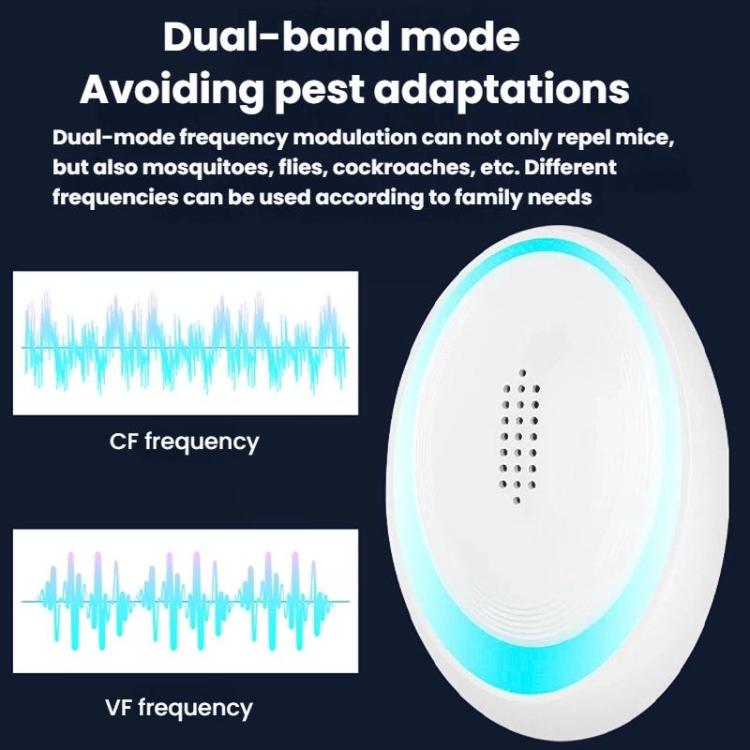 TBD06062364_B6.jpg@c9637ae6aee9d5ccc554630642b9ea3e