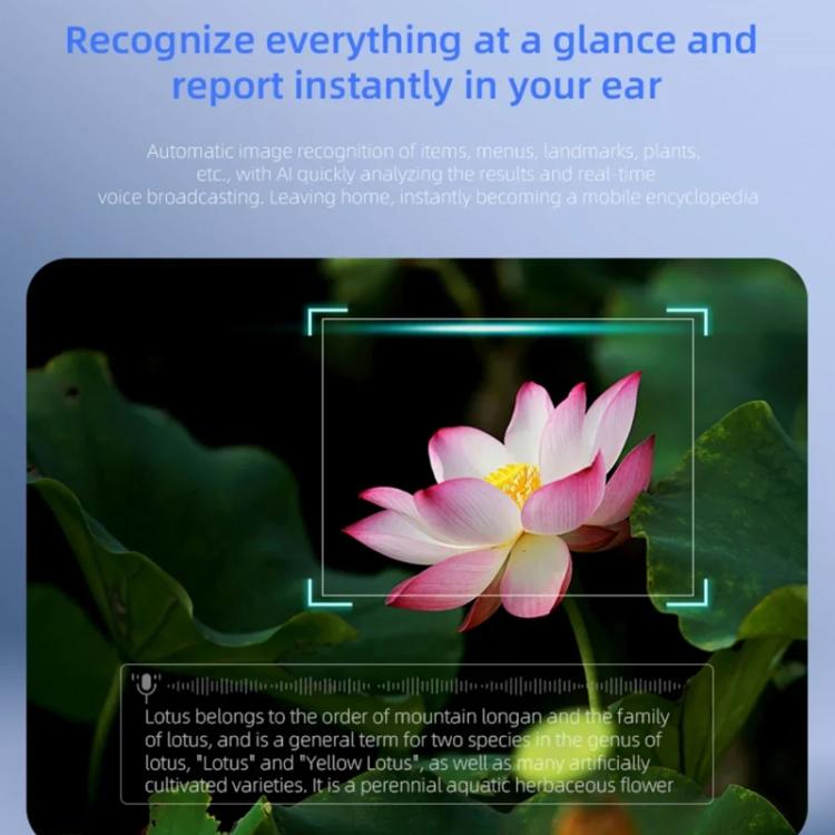 TBD06062816_B8.jpg@ce0ef2df4b50cd09288d6b18d34e085a