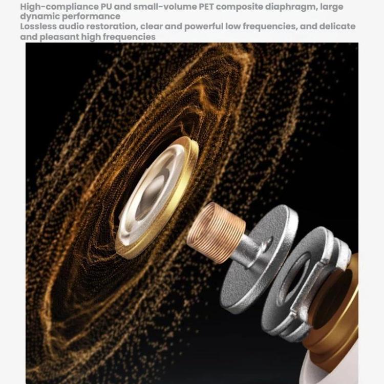 TBD06063747_B8.jpg@61f15ca5753c6b580dcccb547d071b9a