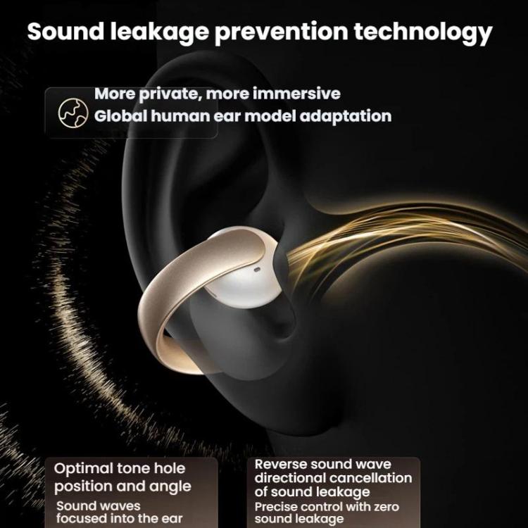 TBD06064042_B5.jpg@43d60453b46932a7e77a6fb5da4dad11